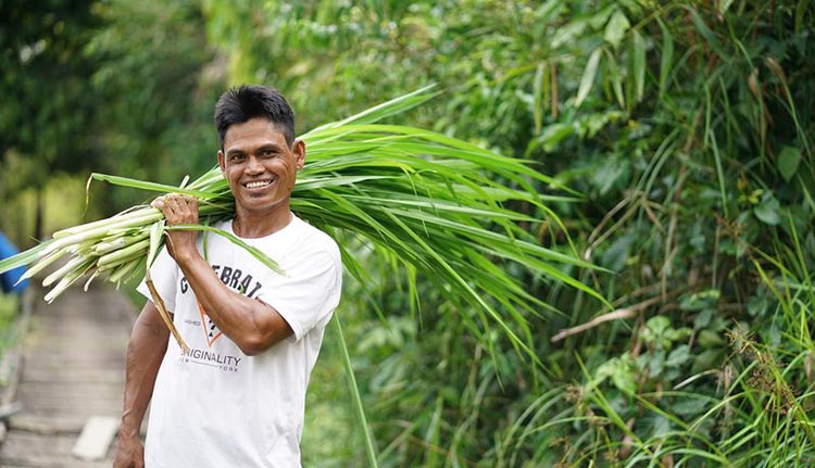Katingan Peatland Conservation 2