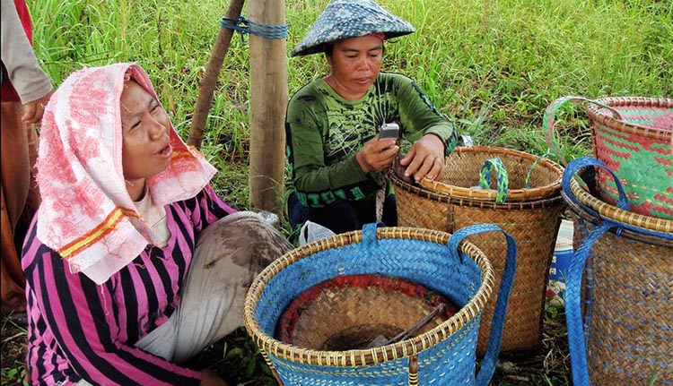 Katingan Peatland Conservation 3