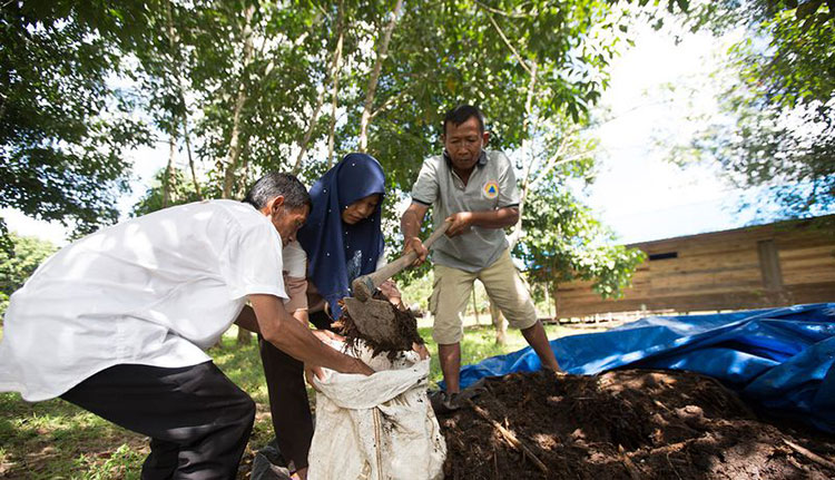 Katingan Peatland Conservation 4
